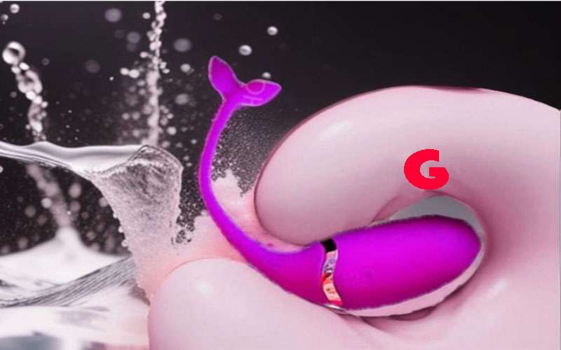 Trứng rung không dây sạc điện Dolphin đa chế độ rung kích thích